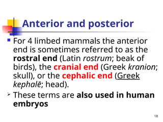 1.1 INTRODUCTION TO ANATOMY SHOWING HEAD NECk | PPT