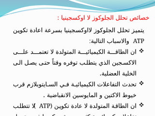 ‫ـن‬
‫ي‬‫تكو‬ ‫اعادة‬ ‫ـرعة‬
‫س‬‫ب‬ ‫ـجينيا‬
‫س‬‫الاوك‬ ‫الجلوكوز‬ ‫ـل‬
‫ل‬‫تح‬ ‫ـز‬
‫ي‬‫يتم‬
ATP
:‫التالية‬ ‫واالسباب‬

‫علـــى‬ ‫تعتمـــد‬ ‫ال‬ ‫المتولدة‬ ‫الكيميائيـــة‬ ‫الطاقـــة‬ ‫ان‬
‫الـى‬ ‫يصـل‬ ‫حتـى‬ ً‫وقتا‬ ‫توفره‬ ‫يتطلـب‬ ‫الذي‬ ‫االكسـجين‬
.‫العضلية‬ ‫الخلية‬

‫قرب‬ ‫السـايتوبالزم‬ ‫فـي‬ ‫الكيميائيـة‬ ‫التفاعالت‬ ‫تحدث‬
. ‫االنقباضية‬ ‫المايوسين‬ ‫و‬ ‫االكتين‬ ‫خيوط‬

( ‫ـن‬‫ي‬‫تكو‬ ‫عادة‬ ‫ال‬ ‫المتولدة‬ ‫ـة‬‫ق‬‫الطا‬ ‫ان‬
ATP
)
‫ـب‬‫ل‬‫تتط‬ ‫ال‬
: ‫اوكسجينيا‬ ‫ال‬ ‫الجلوكوز‬ ‫تحلل‬ ‫خصائص‬
 