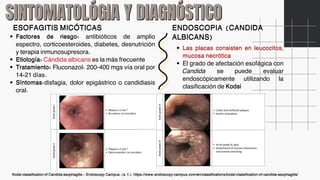1.4 Esofagitis no peptica e infecciosa E | PDF
