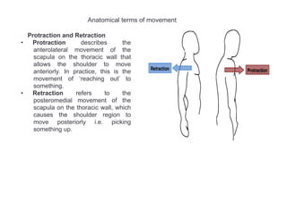 1. Introduction to Anatomy, terminology, bones.pdf