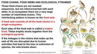 Understanding the Environment ppt one... | PPTX