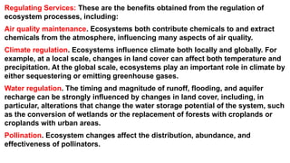 Understanding the Environment ppt one... | PPTX