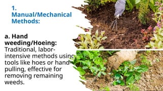 1. Weeding Activities in Agricultural Crops Production | PPTX