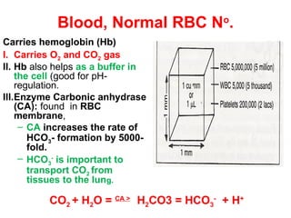 Normal Rate Fo Rbc Comprehensive Overview of Blood Physiology and Hematology | PPT