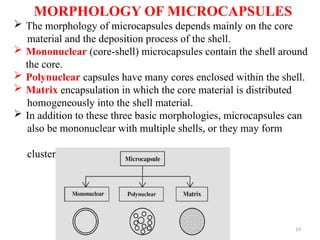 Encapsulation Shell 1. Microencapsulation final for class.pptx