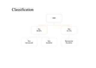 Comprehensive Overview of Age-Related Macular and Peripheral ...