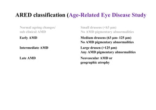 Comprehensive Overview of Age-Related Macular and Peripheral ...