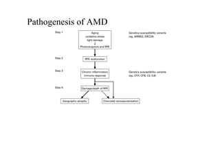 Comprehensive Overview of Age-Related Macular and Peripheral ...