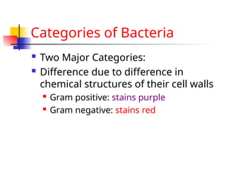 Comprehensive Overview of Bacterial Structure, Function, and ...