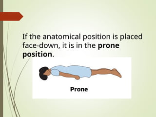 1. introduction to human anatomy and physiology | PPT