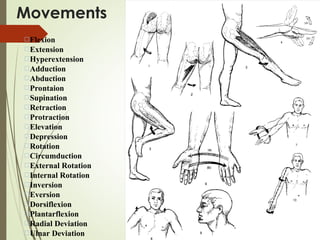 1. introduction to human anatomy and physiology | PPT