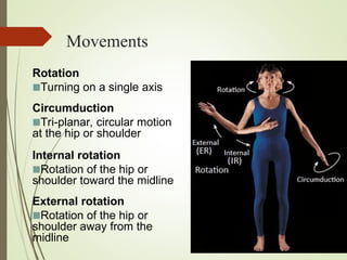 Circulator L Rotation 1. introduction to human anatomy and physiology | PPT