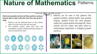 Exploring the Nature of Mathematics: Patterns, Fibonacci Sequence, and ...