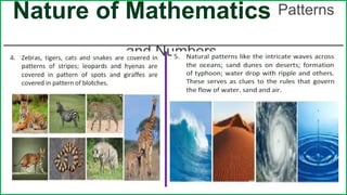 Math Nature Exploring the Nature of Mathematics: Patterns, Fibonacci Sequence, and ...