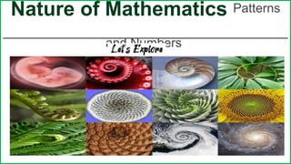 Exploring the Nature of Mathematics: Patterns, Fibonacci Sequence, and ...