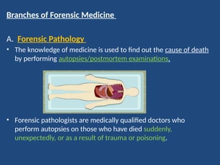 Comprehensive Introduction to Forensic Medicine and Its Branches | PPSX