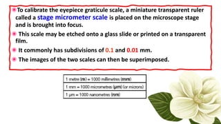 Superimposed Ruler Comprehensive Overview of Cell Structure, Function, and Microscopy | PDF