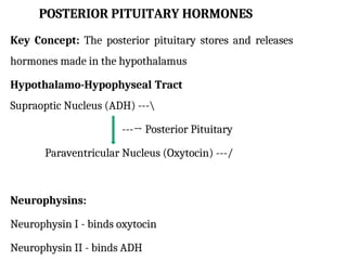 Tp Flag Comprehensive Introduction to Endocrinology and Pituitary Gland ...