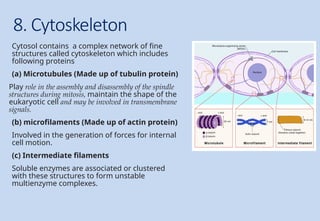 Comprehensive Overview of Cell Structure and Organelles in Biochemistry ...