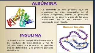 Comprehensive Overview of Proteins: Structure, Function, and ...
