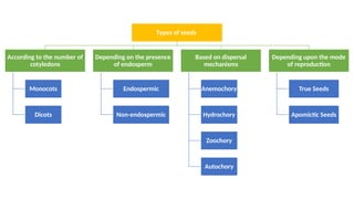 Comprehensive Overview of Seed Types, Quality, and Agricultural ...