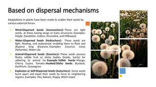 Comprehensive Overview of Seed Types, Quality, and Agricultural ...