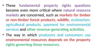 Understanding Market Failure, Property Rights, and Environmental ...