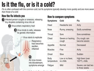 Comprehensive Overview of Influenza Virus Structure, Transmission, and ...