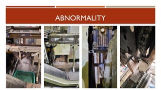 Comprehensive Overview of Production Techniques and Abnormality ...