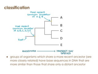 1. Characteristics and Classification of Living Organisms.pptx