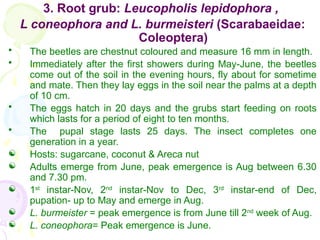 Comprehensive Guide to Arecanut Pests and Their Management | PPTX
