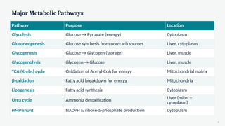 Major Metabolic Pathways
Pathway Purpose Location
Glycolysis Glucose → Pyruvate (energy) Cytoplasm
Gluconeogenesis Glucose synthesis from non-carb sources Liver, cytoplasm
Glycogenesis Glucose → Glycogen (storage) Liver, muscle
Glycogenolysis Glycogen → Glucose Liver, muscle
TCA (Krebs) cycle Oxidation of Acetyl-CoA for energy Mitochondrial matrix
β-oxidation Fatty acid breakdown for energy Mitochondria
Lipogenesis Fatty acid synthesis Cytoplasm
Urea cycle Ammonia detoxification
Liver (mito. +
cytoplasm)
HMP shunt NADPH & ribose-5-phosphate production Cytoplasm
8
 