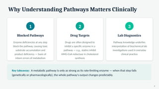 Why Understanding Pathways Matters Clinically
1
Blocked Pathways
Enzyme deficiencies at any step
block the pathway, causing toxic
substrate accumulation and
product deficiency — basis of
inborn errors of metabolism
2
Drug Targets
Drugs are often designed to
inhibit a specific enzyme in a
pathway — e.g., statins inhibit
HMG-CoA reductase in cholesterol
synthesis
3
Lab Diagnostics
Pathway knowledge underlies
interpretation of biochemical lab
investigations used in everyday
clinical practice
Key takeaway: A metabolic pathway is only as strong as its rate-limiting enzyme — when that step fails
(genetically or pharmacologically), the whole pathway's output changes predictably.
9
 