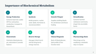 Importance of Biochemical Metabolism
E
Energy Production
Converts food into usable
ATP for contraction,
conduction, transport &
biosynthesis
S
Synthesis
Builds proteins, nucleic
acids, lipids, hormones &
neurotransmitters
G
Growth & Repair
Supplies building blocks
for cell division and tissue
healing
D
Detoxification
Converts harmful
substances (ammonia,
drugs) into excretable
forms
H
Homeostasis
Maintains blood glucose,
pH, electrolyte & osmotic
balance
R
Reserve Storage
Glycogen (short-term)
and fat (long-term)
energy reserves
C
Clinical Diagnosis
Basis of blood glucose,
lipid profile & liver
function tests
P
Pharmacology Basis
Most drugs act by
modifying a metabolic
step or enzyme
3
 