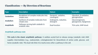 Classification — By Direction of Reactions
Type Description Nature Examples
Catabolism Breakdown of complex molecules into
simple ones
Exergonic, oxidative,
convergent
Glycolysis, β-oxidation,
glycogenolysis
Anabolism
Synthesis of complex molecules from
simple ones
Endergonic, reductive,
divergent
Gluconeogenesis,
glycogenesis, lipogenesis
Amphibolic
Pathways serving both catabolic &
anabolic roles
Dual function TCA cycle, HMP shunt
Amphibolic pathways note
TCA cycle is the classic amphibolic pathway: it oxidizes acetyl-CoA to release energy (catabolic role) AND
supplies intermediates (e.g., oxaloacetate, α-ketoglutarate) for biosynthesis of amino acids, glucose, and
heme (anabolic role). This dual role links it to nearly every other a pathway in the cell.
4
 