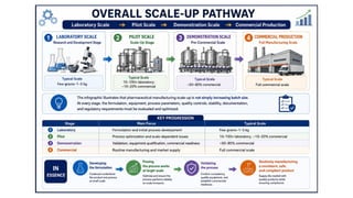Comprehensive Guide to Pilot Plant Scale-Up Techniques and Considerations