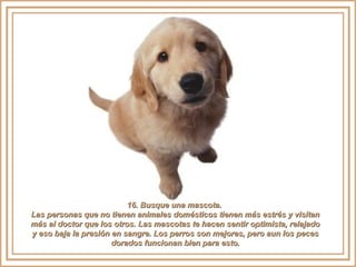 16. Busque una mascota.16. Busque una mascota.
Las personas que no tienen animales domésticos tienen más estrés y visitanLas personas que no tienen animales domésticos tienen más estrés y visitan
más al doctor que los otros. Las mascotas te hacen sentir optimista, relajadomás al doctor que los otros. Las mascotas te hacen sentir optimista, relajado
y eso baja la presión en sangre. Los perros son mejores, pero aun los pecesy eso baja la presión en sangre. Los perros son mejores, pero aun los peces
dorados funcionan bien para esto.dorados funcionan bien para esto.
 