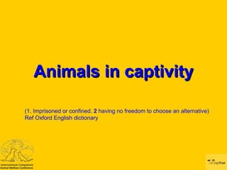 Animals in captivity (1. Imprisoned or confined.  2  having no freedom to choose an alternative)  Ref Oxford English dictionary 