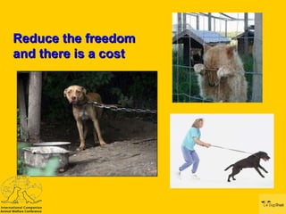 Animals in Captivity, Cognitive Dissonance - Steve Goward, Dogs Trust