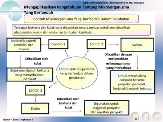 ITeach – Sains Tingkatan 5
Mengaplikasikan Pengetahuan Tentang Mikroorganisma
Yang Berfaedah
Topik1 Mikroorganisma dan Kesannya ke Atas Hidupan
Contoh Mikroorganisma Yang Berfaedah Dalam Perubatan
Contoh 1 Contoh 2
Contoh mikroorganisma
yang berfaedah dalam
perubatan
Antibiotik seperti
penicillin dan
insulin
Vaksin
Dihasilkan dengan
melemahkan
mikroorganisma
yang merbahaya
Untuk menghalang
daripada terkena
jangkitan penyakit
berjangkit seperti tetanus.
Dihasilkan oleh
kulat
Untuk membunuh bekteria
yang menyebabkan
penyakit
Contoh 3
Enzim
Dihasilkan oleh
bakteria dan
kulat
Digunakan untuk
diagnosis penyakit
dan rawatan penyakit
Terdapat bakteria dan kulat yang digunakan secara meluas untuk menghasilkan
ubat, enzim, vaksin dan makanan tambahan kesihatan.
 