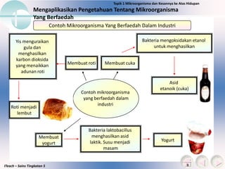 ITeach – Sains Tingkatan 5
Mengaplikasikan Pengetahuan Tentang Mikroorganisma
Yang Berfaedah
Topik 1 Mikroorganisma dan Kesannya ke Atas Hidupan
Contoh Mikroorganisma Yang Berfaedah Dalam Industri
Membuat roti Membuat cuka
Contoh mikroorganisma
yang berfaedah dalam
industri
Yis menguraikan
gula dan
menghasilkan
karbon dioksida
yang menaikkan
adunan roti
Bakteria mengoksidakan etanol
untuk menghasilkan
Asid
etanoik (cuka)
Roti menjadi
lembut
Membuat
yogurt
Bakteria laktobacillus
menghasilkan asid
laktik. Susu menjadi
masam
Yogurt
 