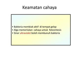 Keamatan cahaya
• Bakteria membiak aktif di tempat gelap
• Alga memerlukan cahaya untuk fotosintesis
• Sinar ultraviolet boleh membunuh bakteria
 