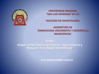 UNIVERSIDAD NACIONAL 
“SAN LUÍS GONZAGA” DE ICA 
FACULTAD DE ODONTOLOGÍA 
ASIGNATURA DE 
EMBRIOLOGIA CRECIMIENTO Y DESARROLLO 
MAXILOFACIAL 
TEMA: 
Origen Embriológico del Sistema Tegumentario y 
Muscular en la Región Maxilofacial. 
Prof. PATRICIA PARDO ANGULO 
 