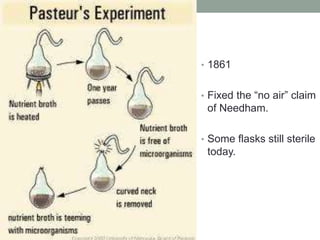• 1861 
• Fixed the “no air” claim 
of Needham. 
• Some flasks still sterile 
today. 
 