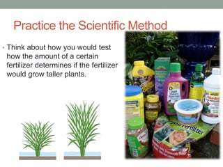 Practice the Scientific Method 
• Think about how you would test 
how the amount of a certain 
fertilizer determines if the fertilizer 
would grow taller plants. 
 