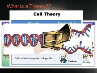 What is a Theory?? 
