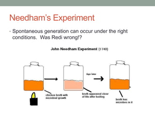 Needham’s Experiment 
• Spontaneous generation can occur under the right 
conditions. Was Redi wrong!? 
 