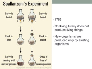 • 1765 
• Nonliving Gravy does not 
produce living things. 
• New organisms are 
produced only by existing 
organisms 
 