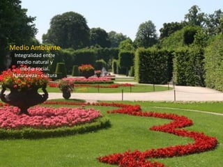 Medio Ambiente 
Integralidad entre 
medio natural y 
medio social. 
Naturaleza -cultura  