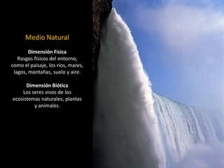 Medio Natural 
Dimensión Física 
Rasgos físicos del entorno, 
como el paisaje, los ríos, mares, lagos, montañas, suelo y aire. 
Dimensión Biótica 
Los seres vivos de los ecosistemas naturales, plantas y animales.  